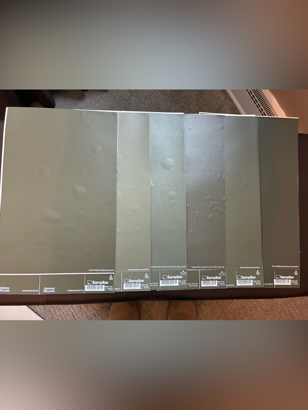 Design Shop Peel and Stick Paint Samples- Mossy Greens